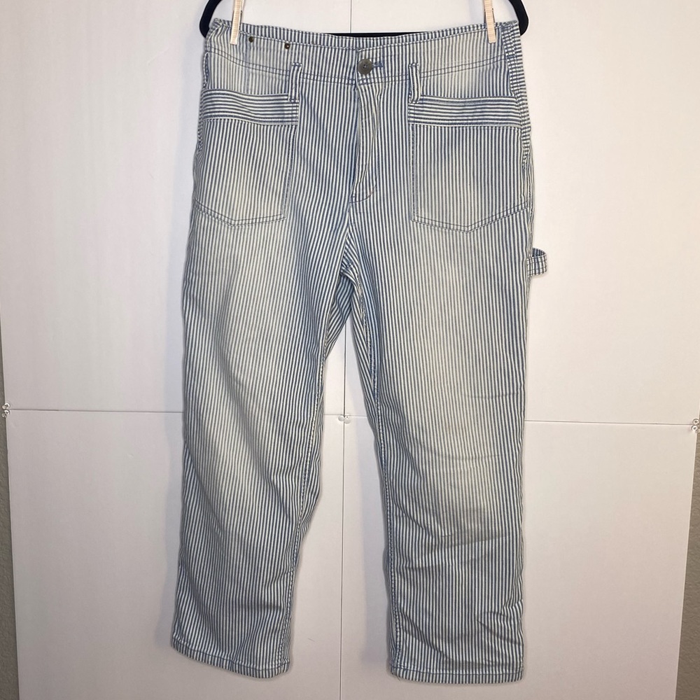 Anthropologie Pilcro Blue White Striped Pants Size 30P High Rise Straight
